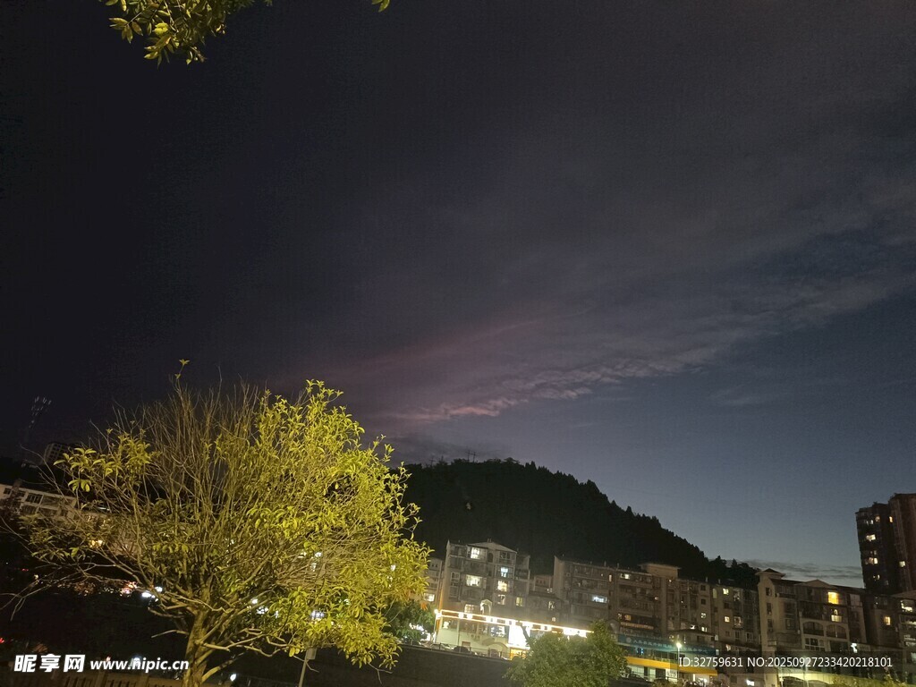 夜晚城市与树木景观