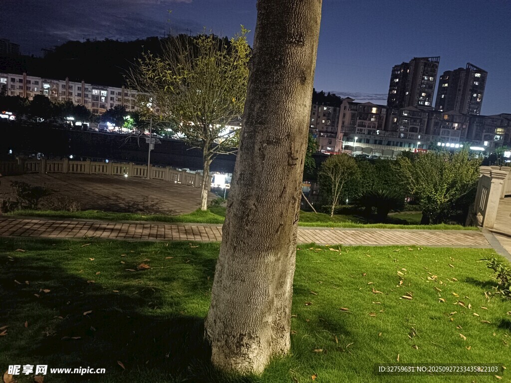 城市夜景下的草地与树干