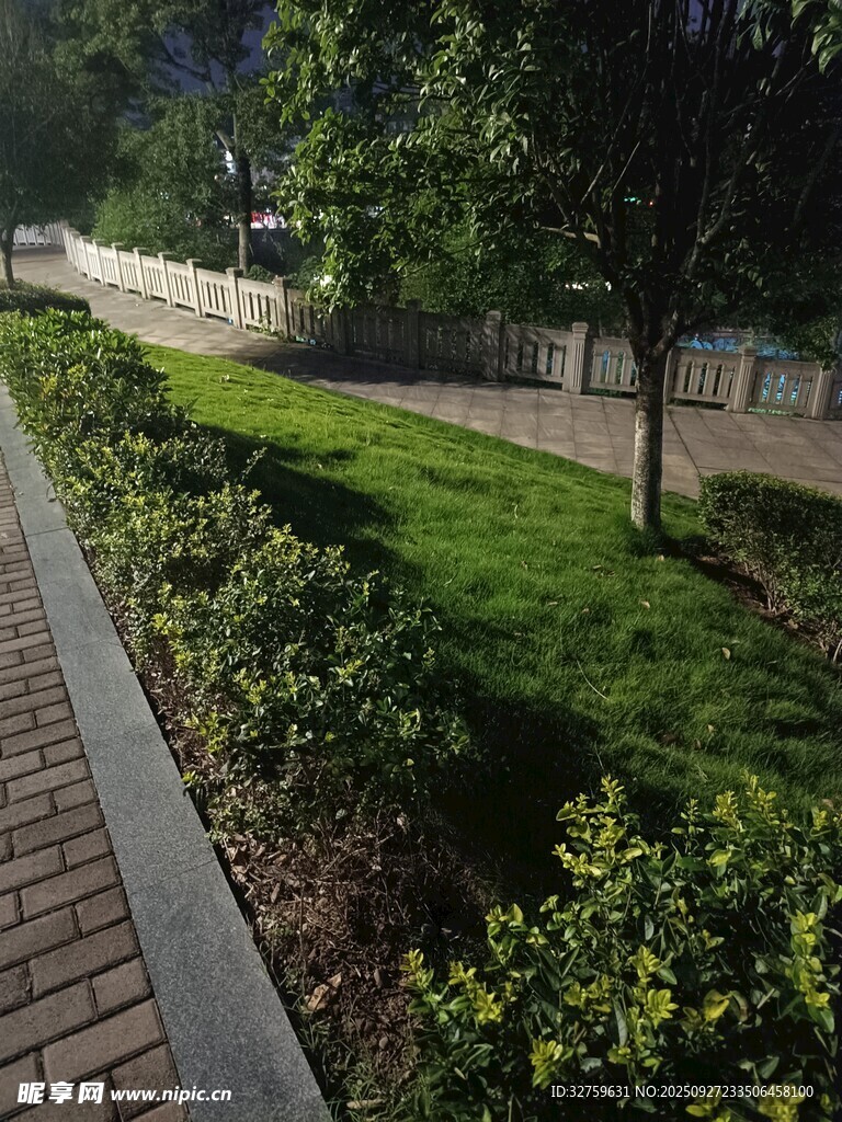 城市街边绿意盎然的景观