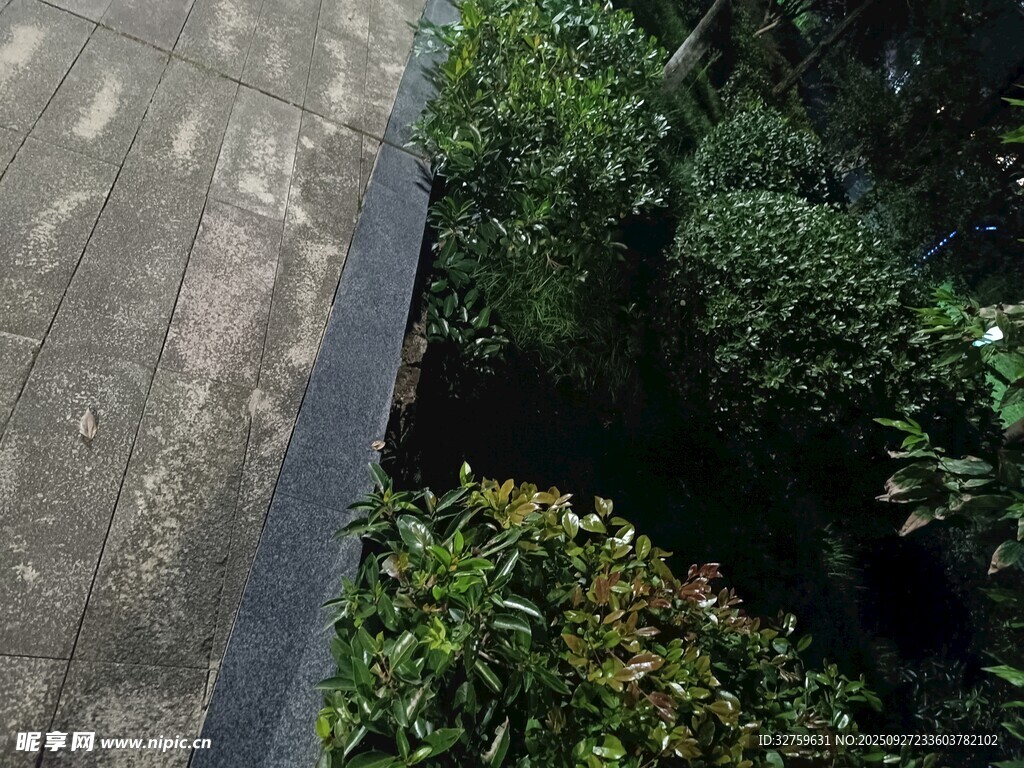 屋顶下的绿植景观