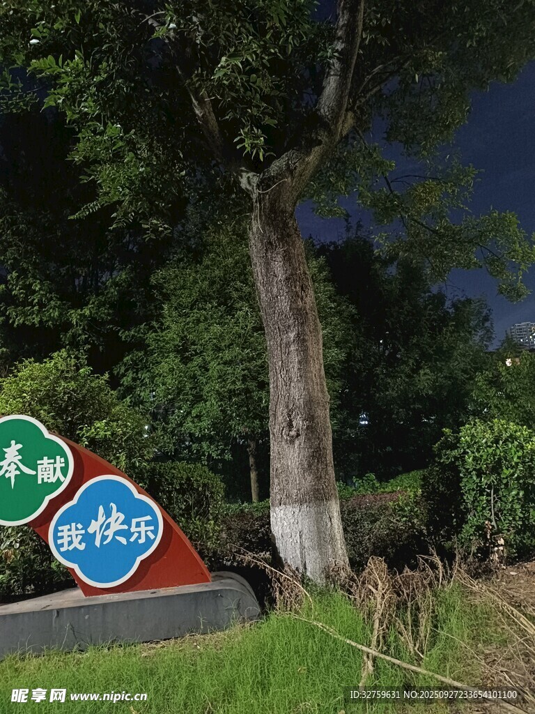 夜晚树下的多彩指示牌