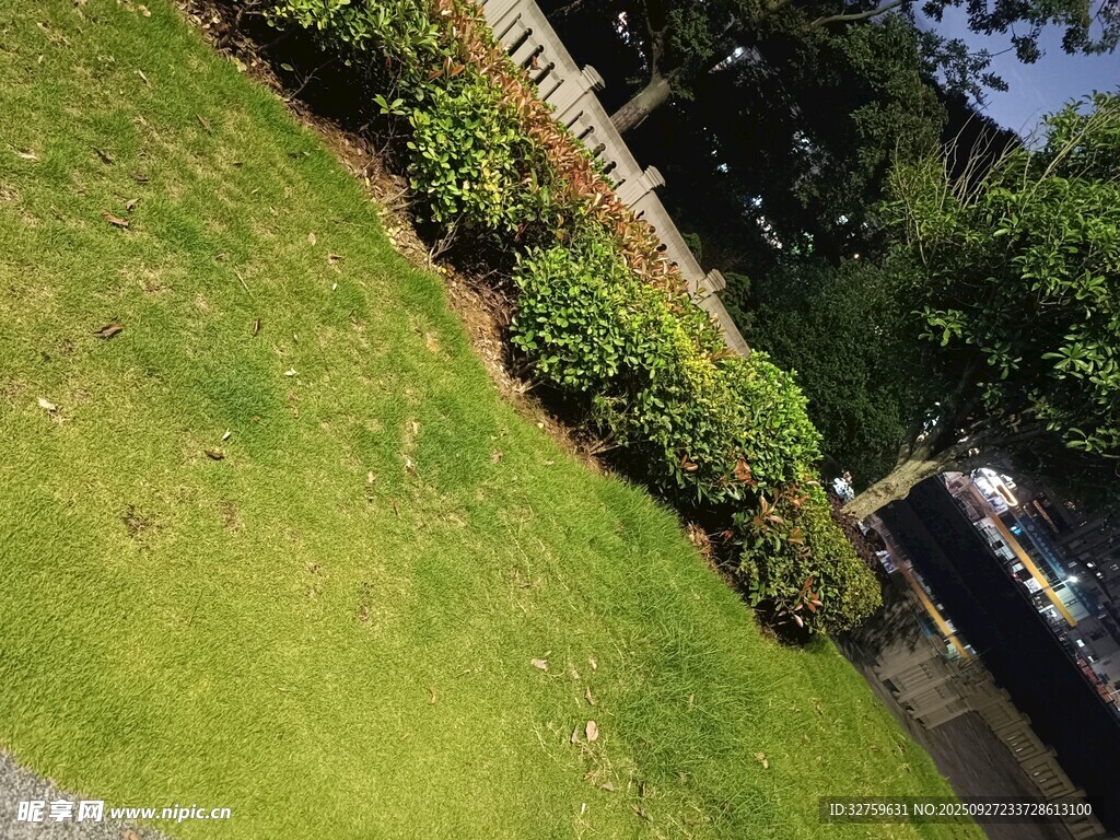 绿意盎然的户外景致