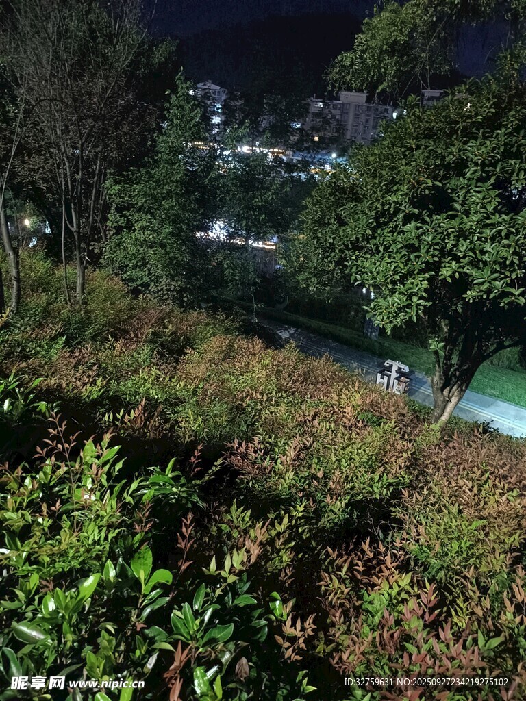 夜晚山林间的城市远景