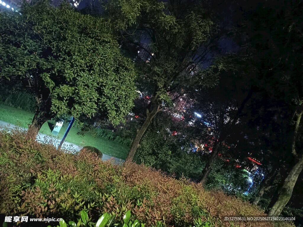 夜晚公园绿植景观俯瞰