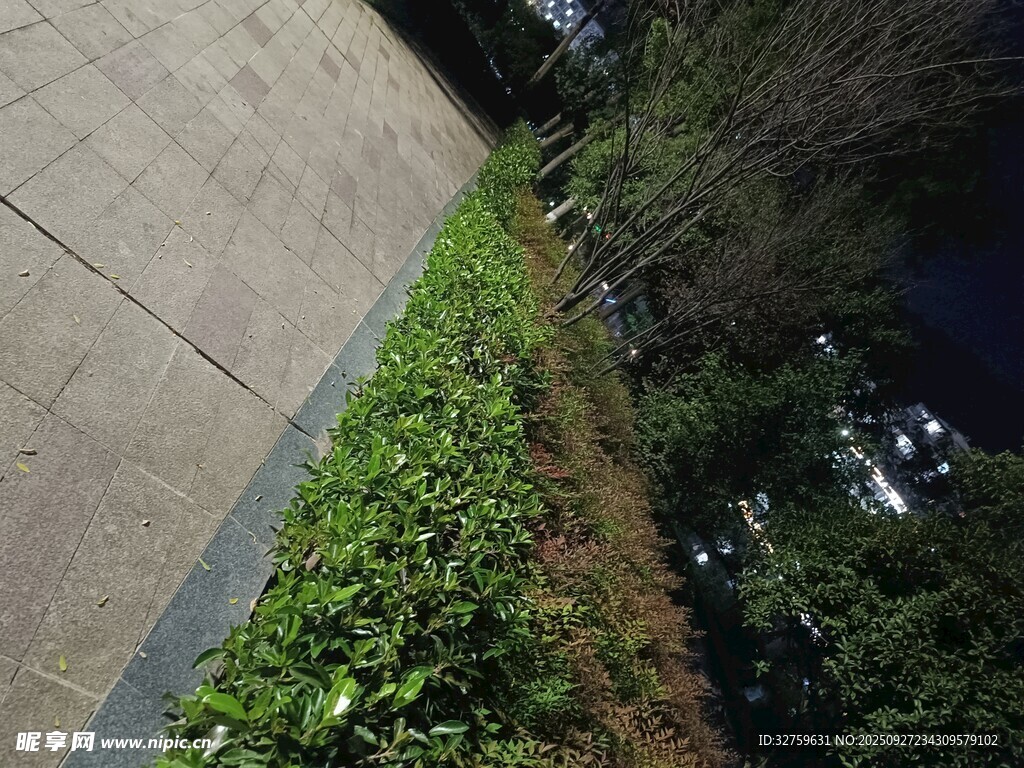 路边绿植景观