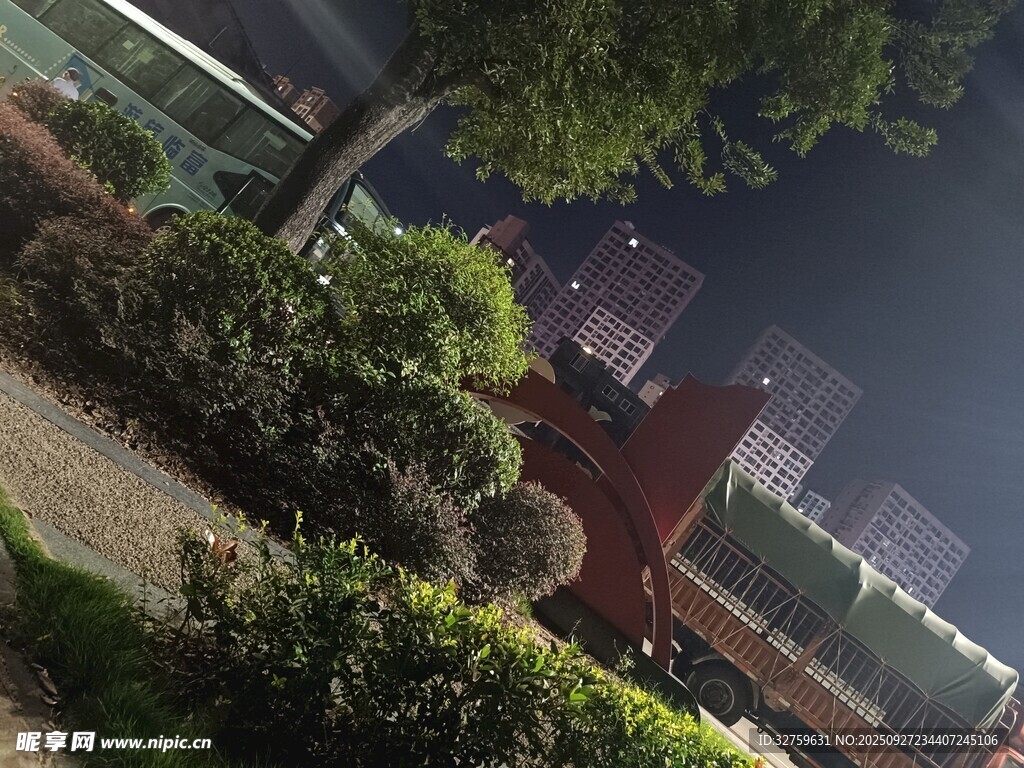 夜晚城市绿植景观