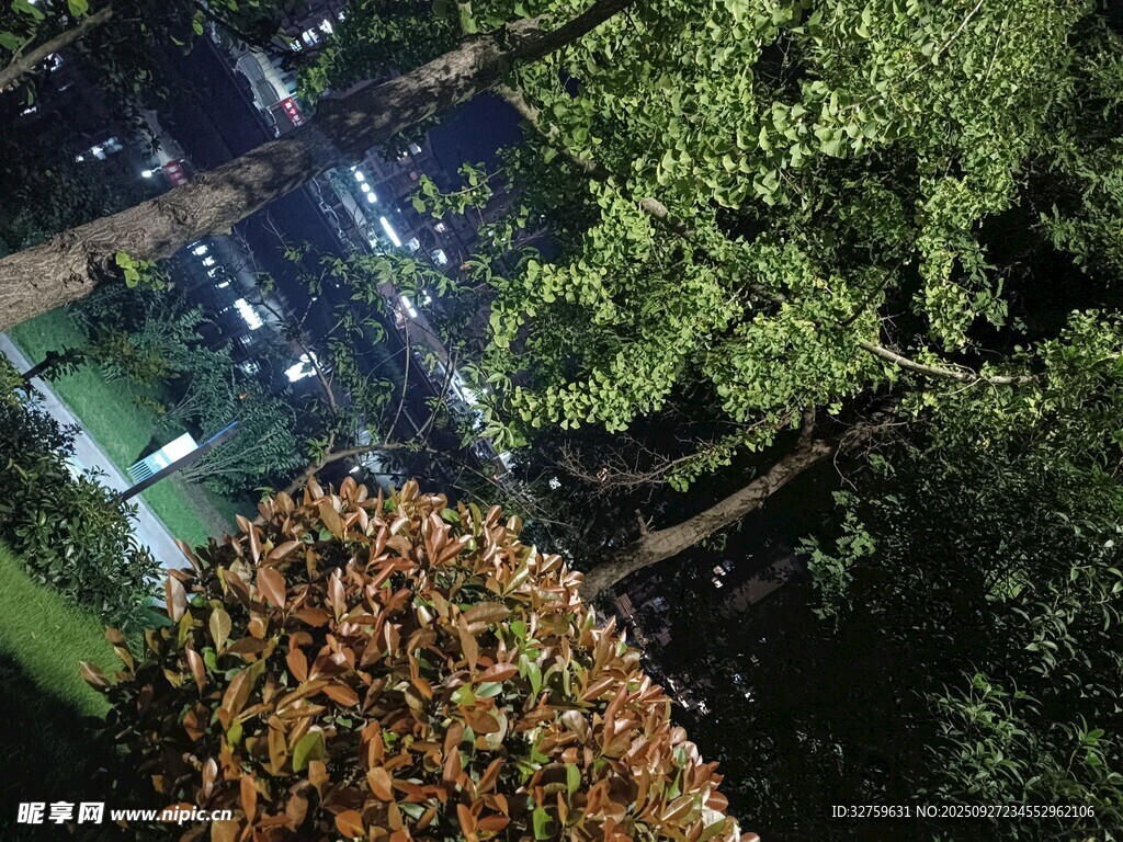 俯瞰城市绿植夜景
