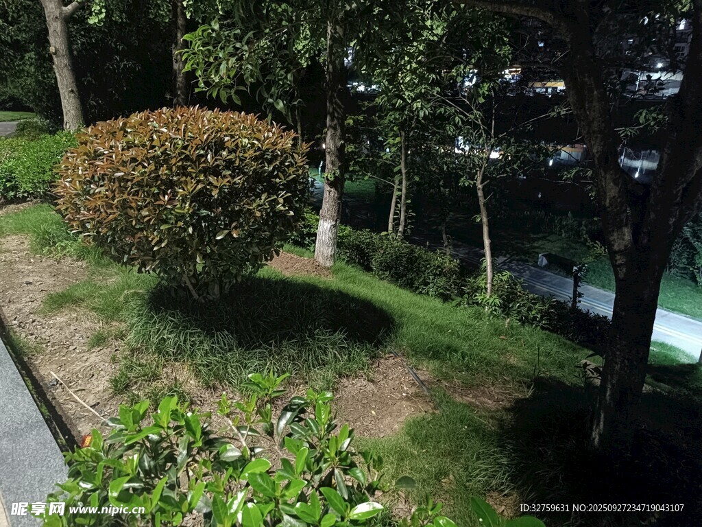绿意盎然的园林景观