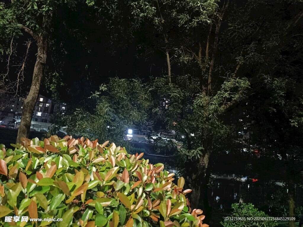 夜晚绿植间的城市灯光景象