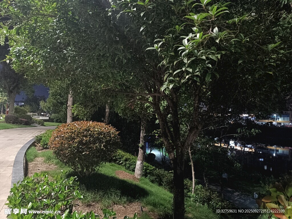 林荫小道绿植环绕美景