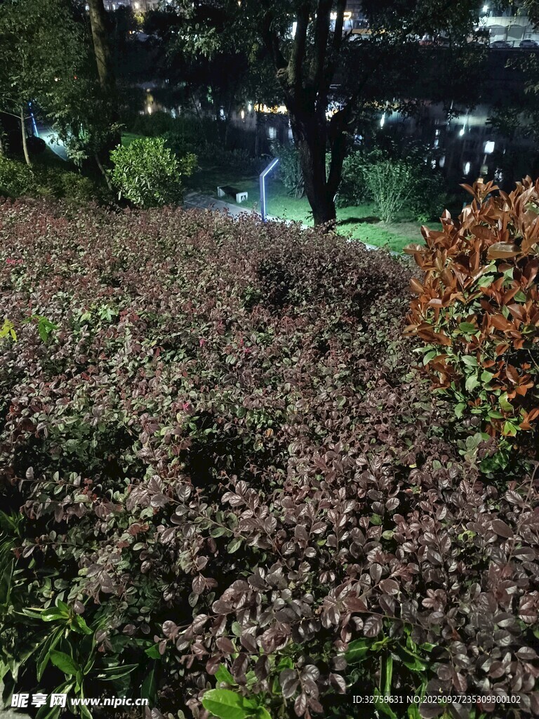 繁茂多彩的植物景观