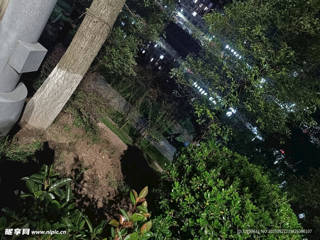 夜晚绿植旁的户外景象