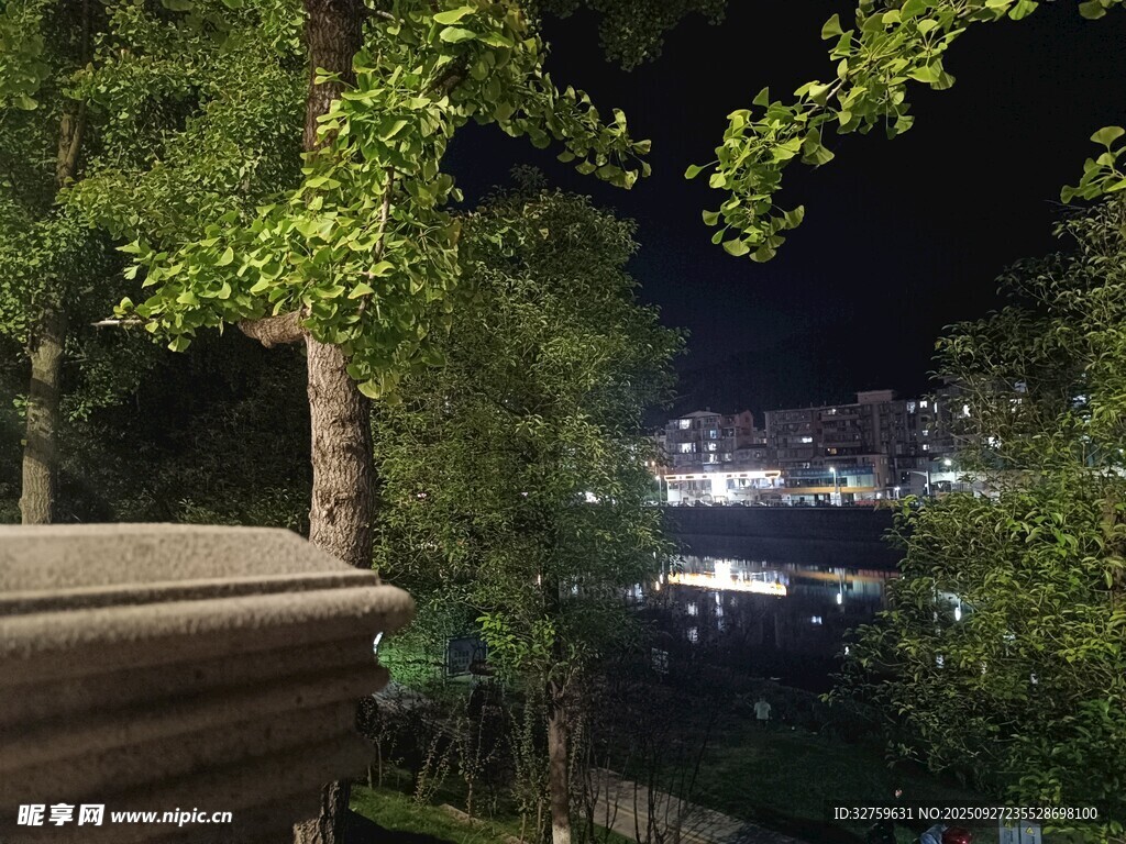 夜晚树影下的城市灯火