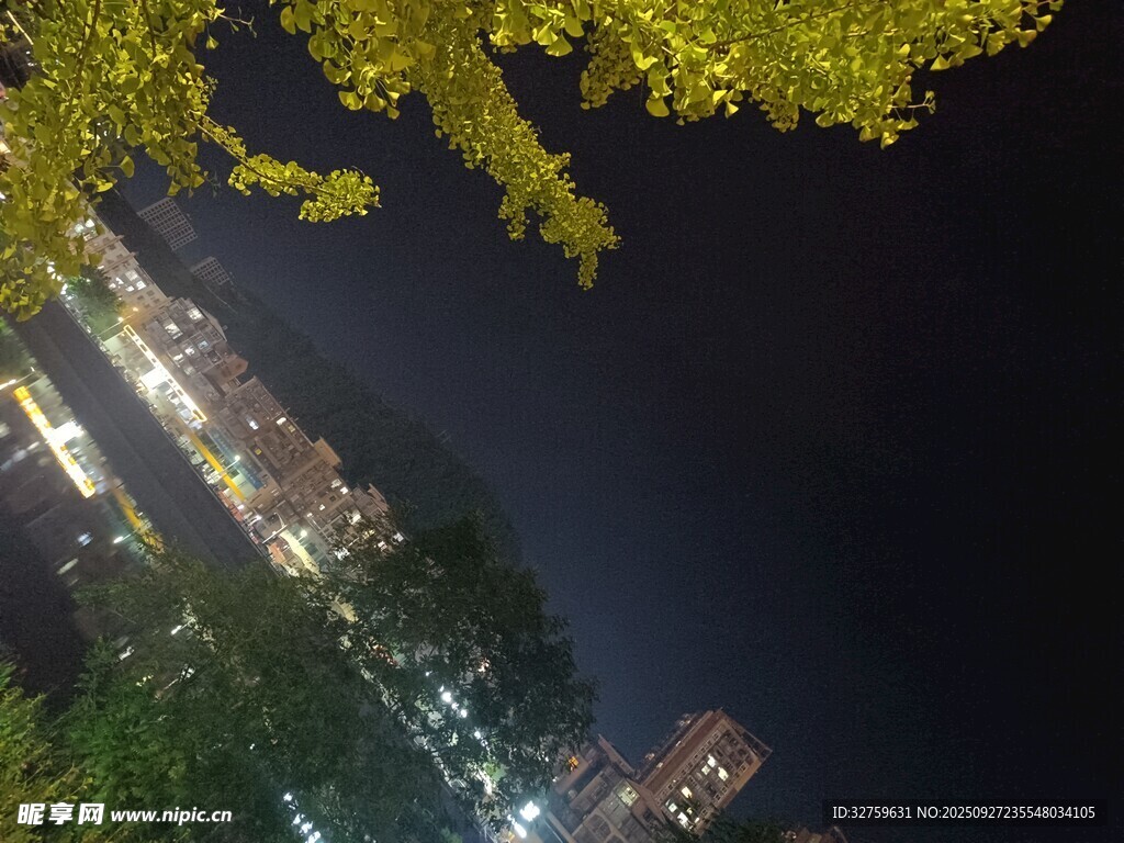 城市夜景下的繁茂绿树