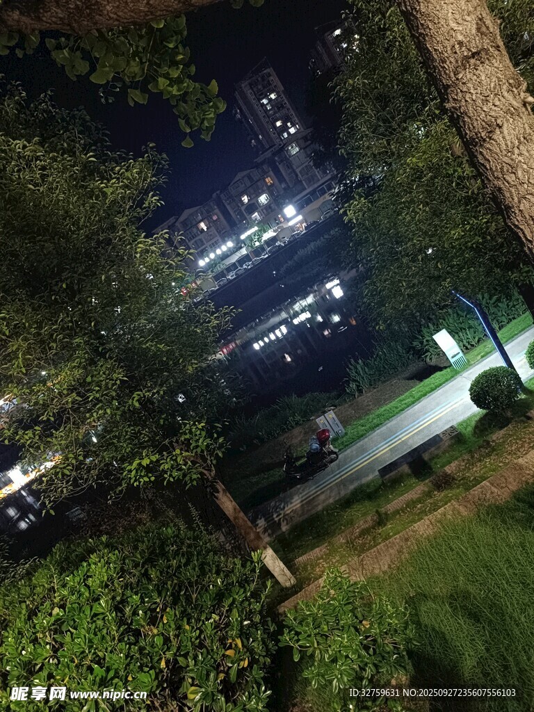 夜晚城市公园绿植夜景
