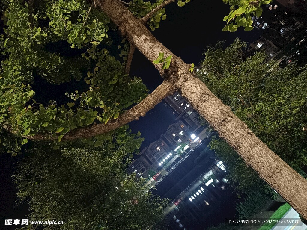 夜中树干与城市灯火景观