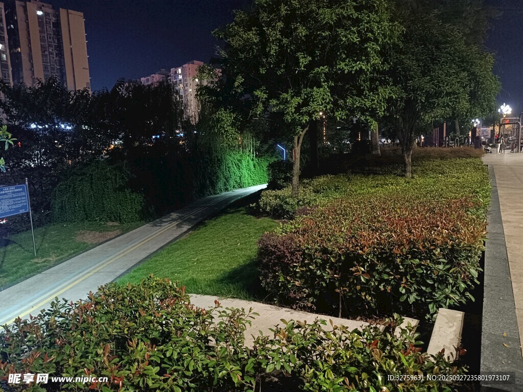 夜晚城市绿化带景观