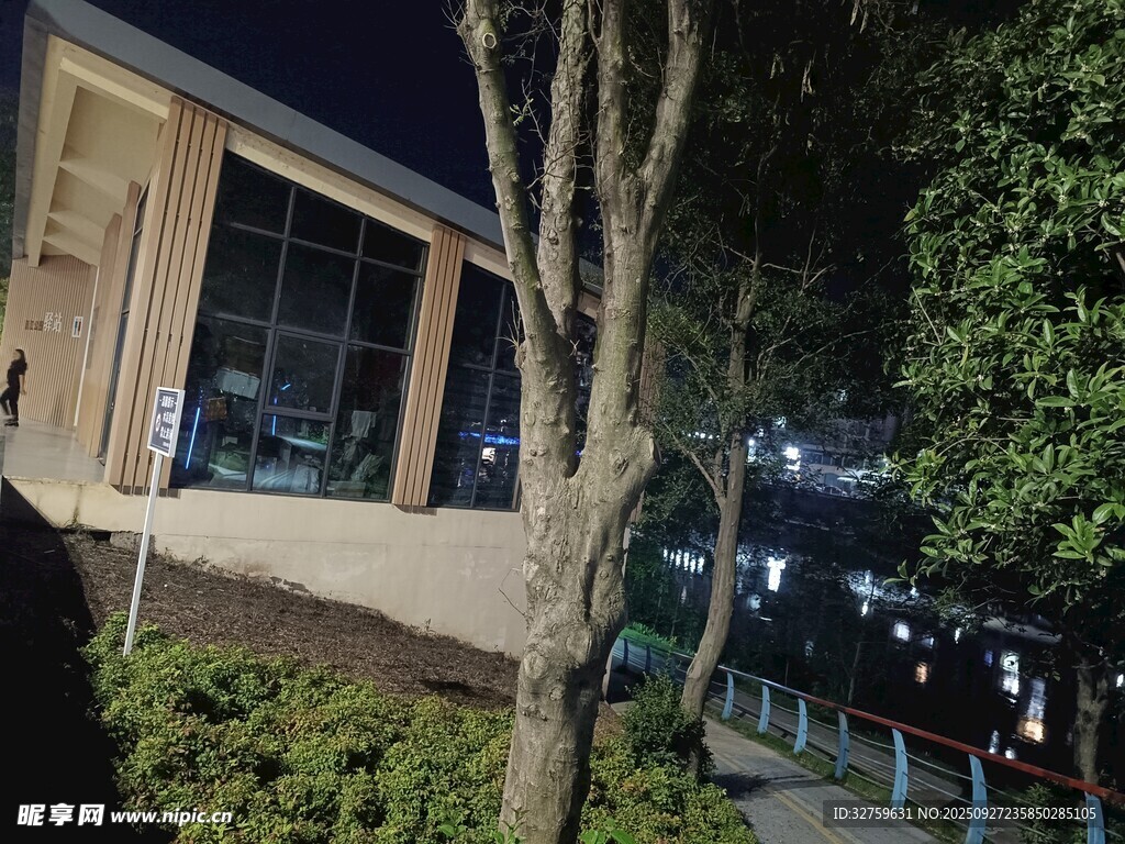 夜晚街边的树木与建筑物