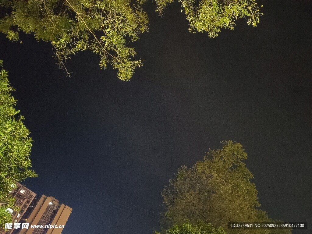 俯瞰静谧树林与深色水面