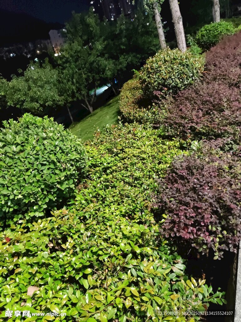 多彩绿植景观
