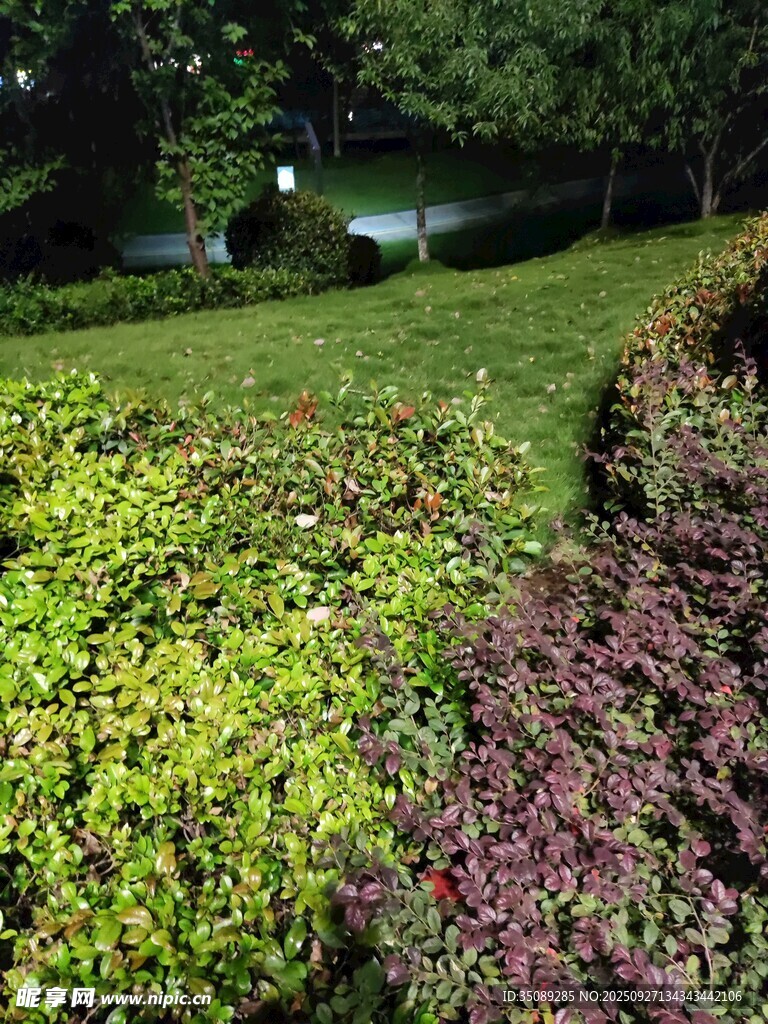 花园绿植景观