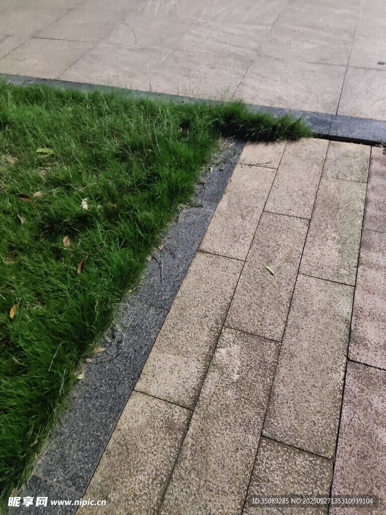砖砌小径旁的翠绿草坪