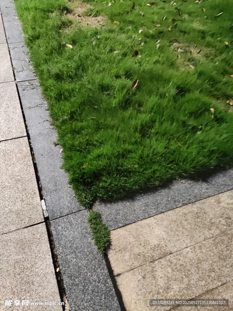 整齐草坪与石板路边界