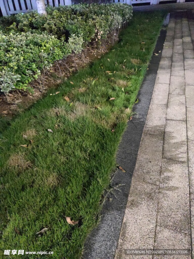 整洁的路边草坪景观