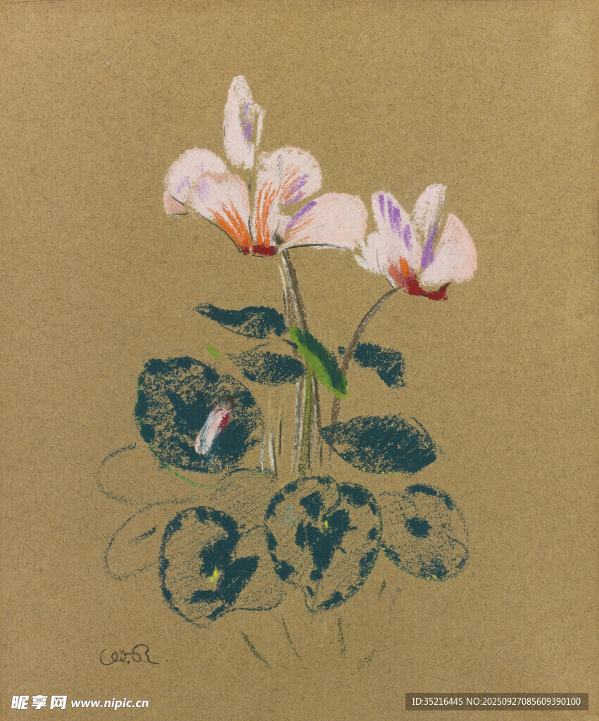 复古风仙客来花卉绘画