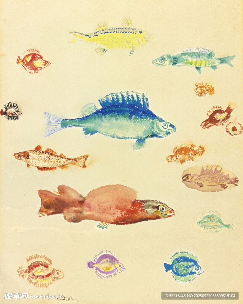 多彩鱼类手绘插画