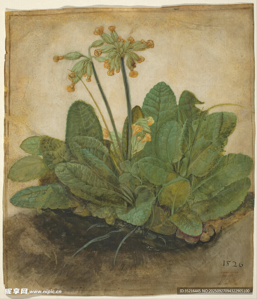 复古风描绘的绿叶花卉植物