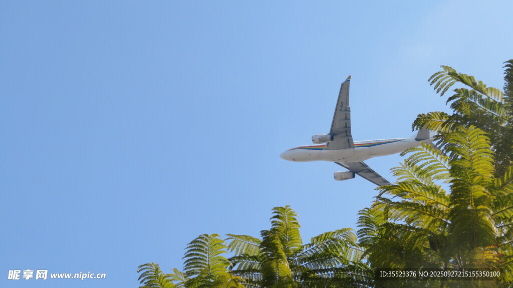 飞机飞过葱郁绿植上空