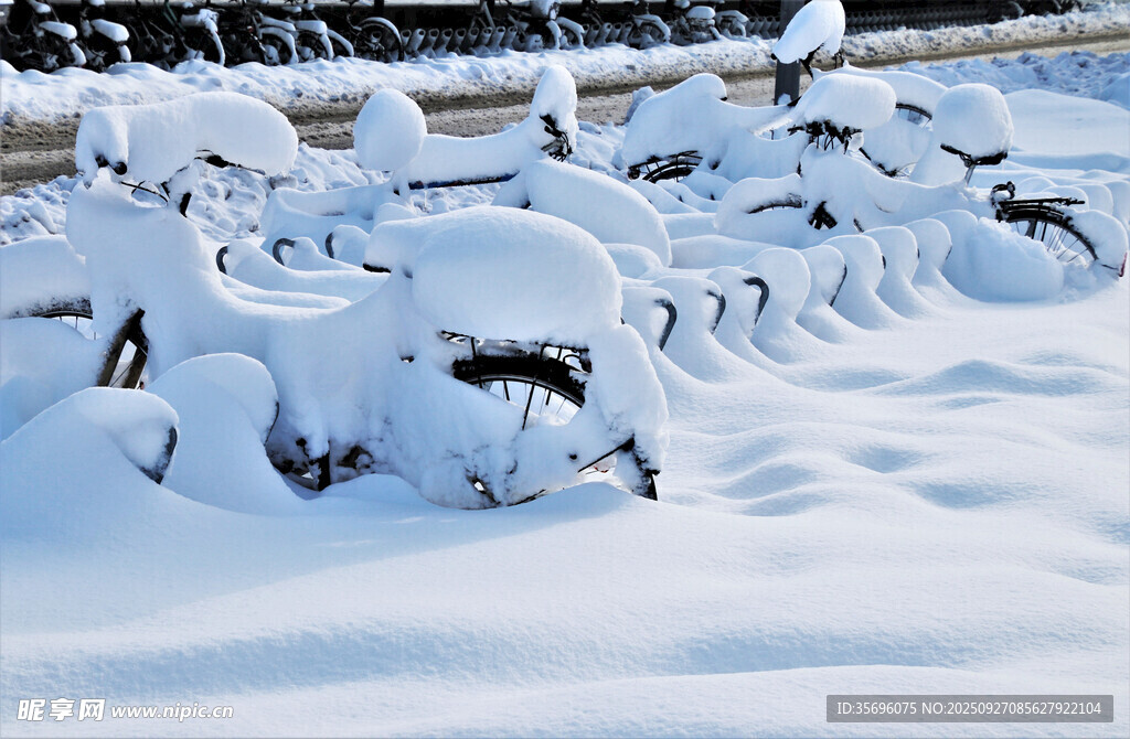 雪景