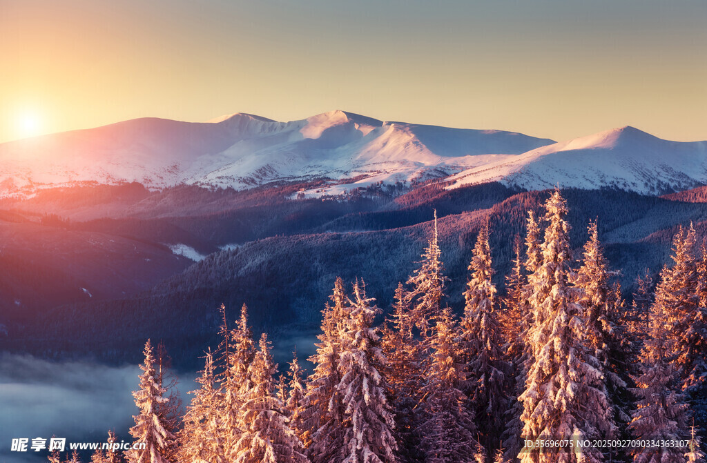雪景