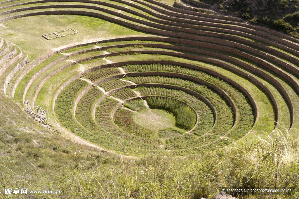 神秘圆形梯田景观