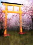 日式鸟居与烂漫樱花景