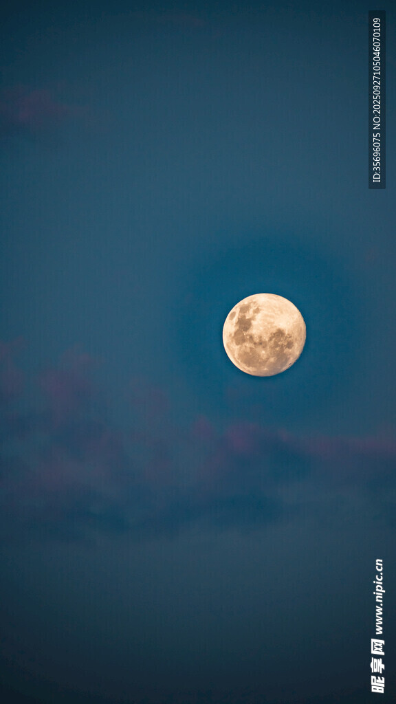 夜空中的明亮圆月