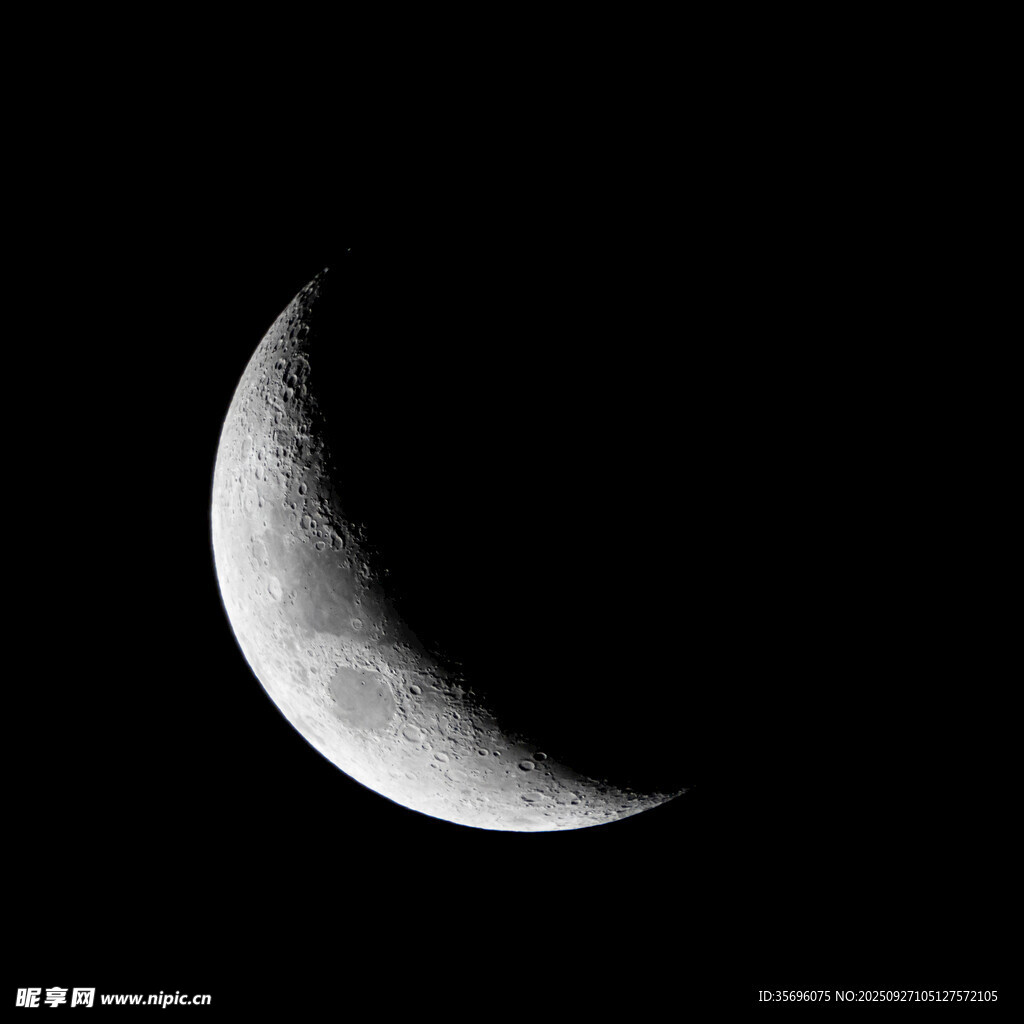 弯弯新月悬于夜空