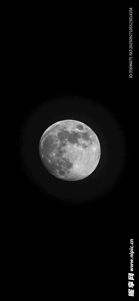 夜空中的皎洁明月