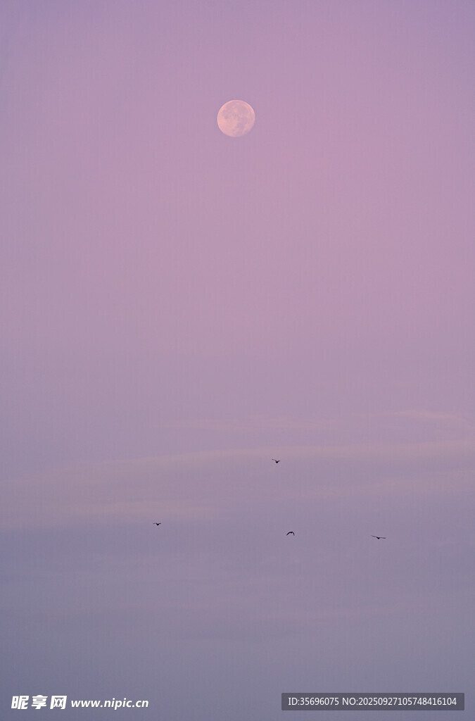 海上朦胧月色
