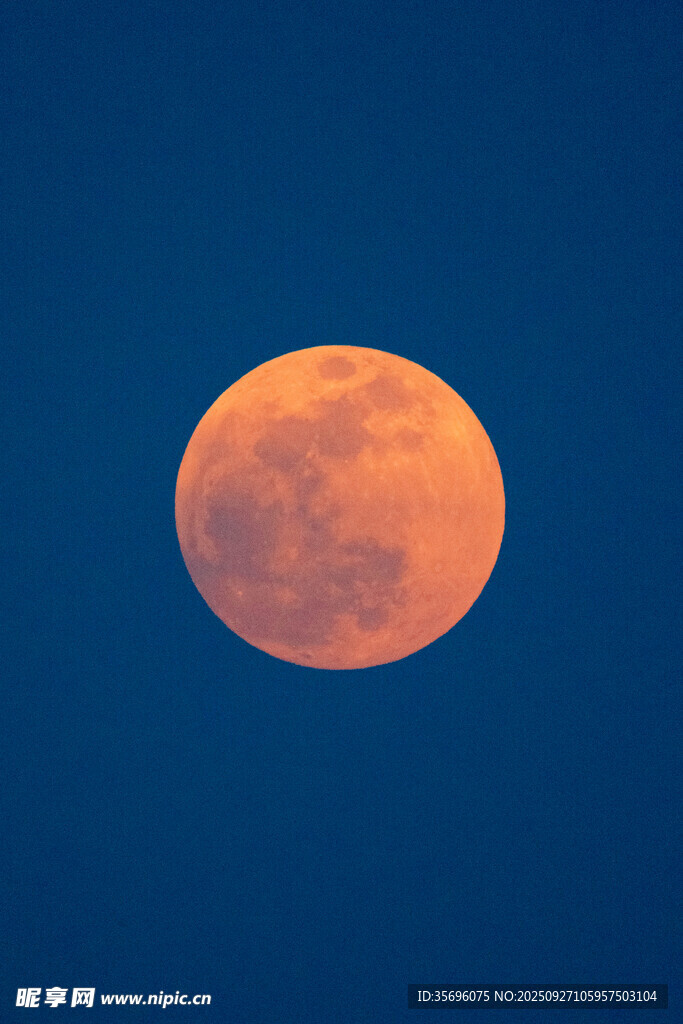 夜空中的红月