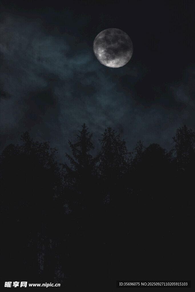 月夜下的森林剪影