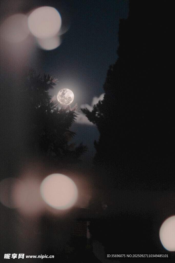 月夜下的朦胧光影景象