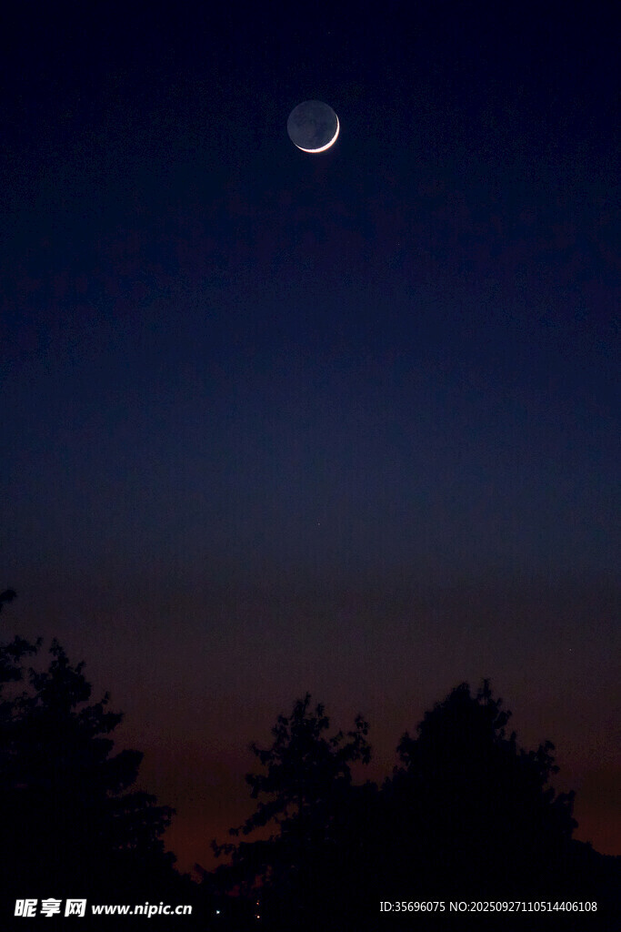 夜幕下的弯月与树木