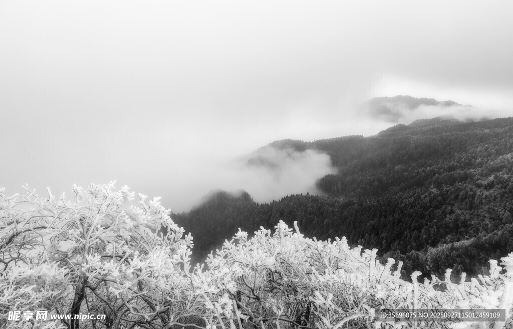 雪覆山林的静谧景致