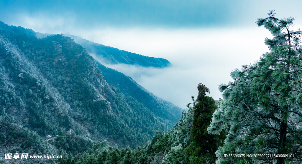 云雾缭绕的山间森林美景