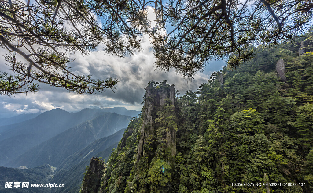 高山密林间的云雾美景