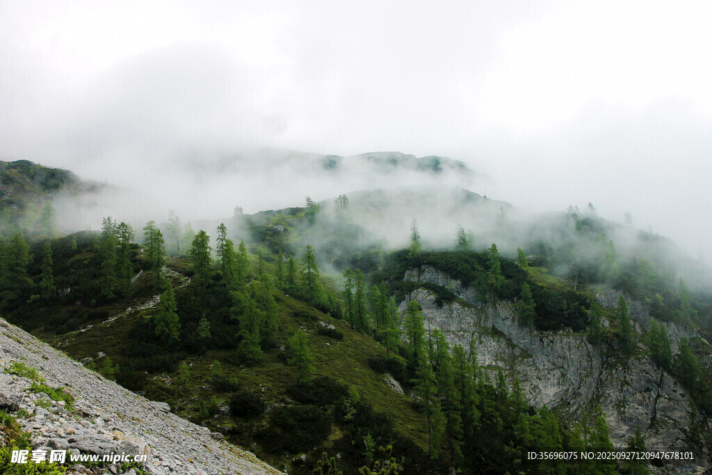 云雾缭绕的山林美景