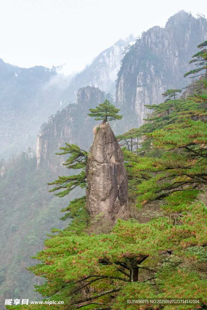奇峰耸立的山林景观