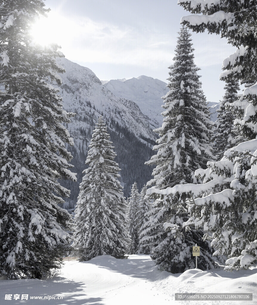 冬日雪覆山林美景